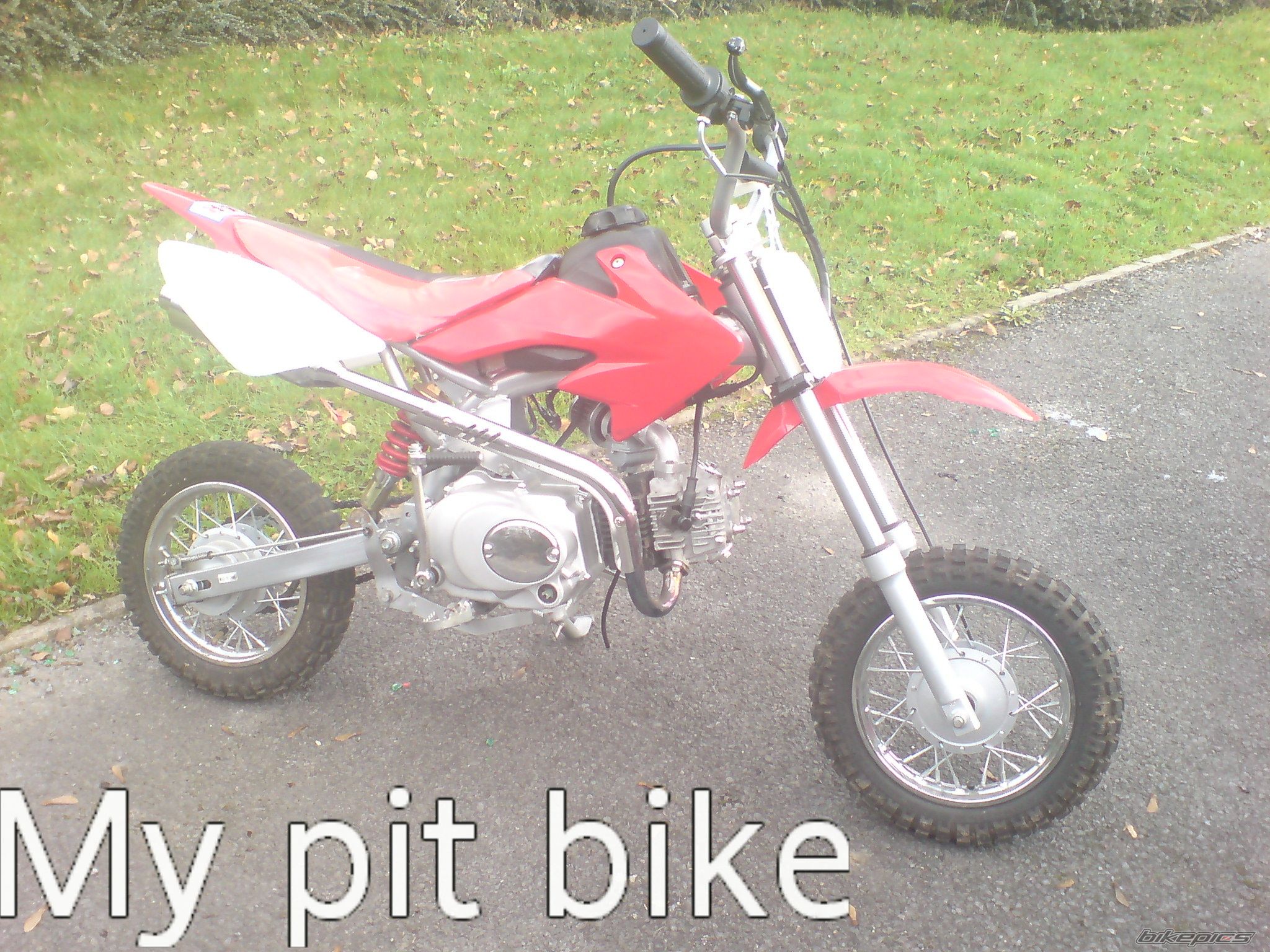 Photo 1668060