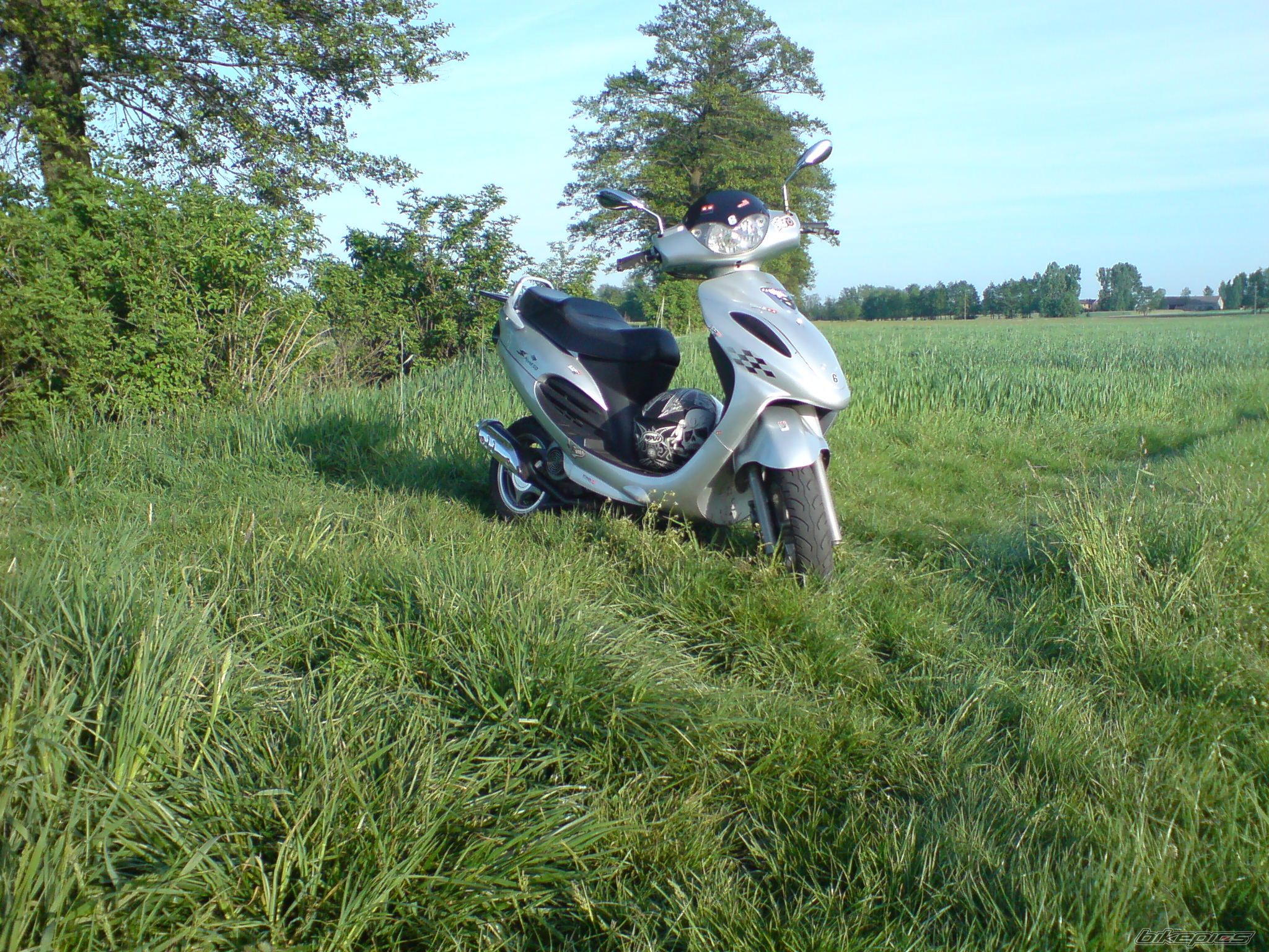 Photo 1668113
