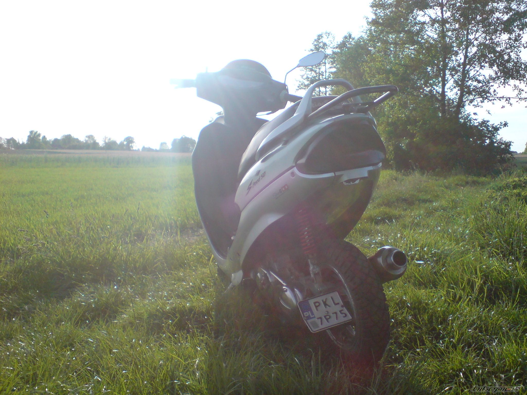 Photo 1668117