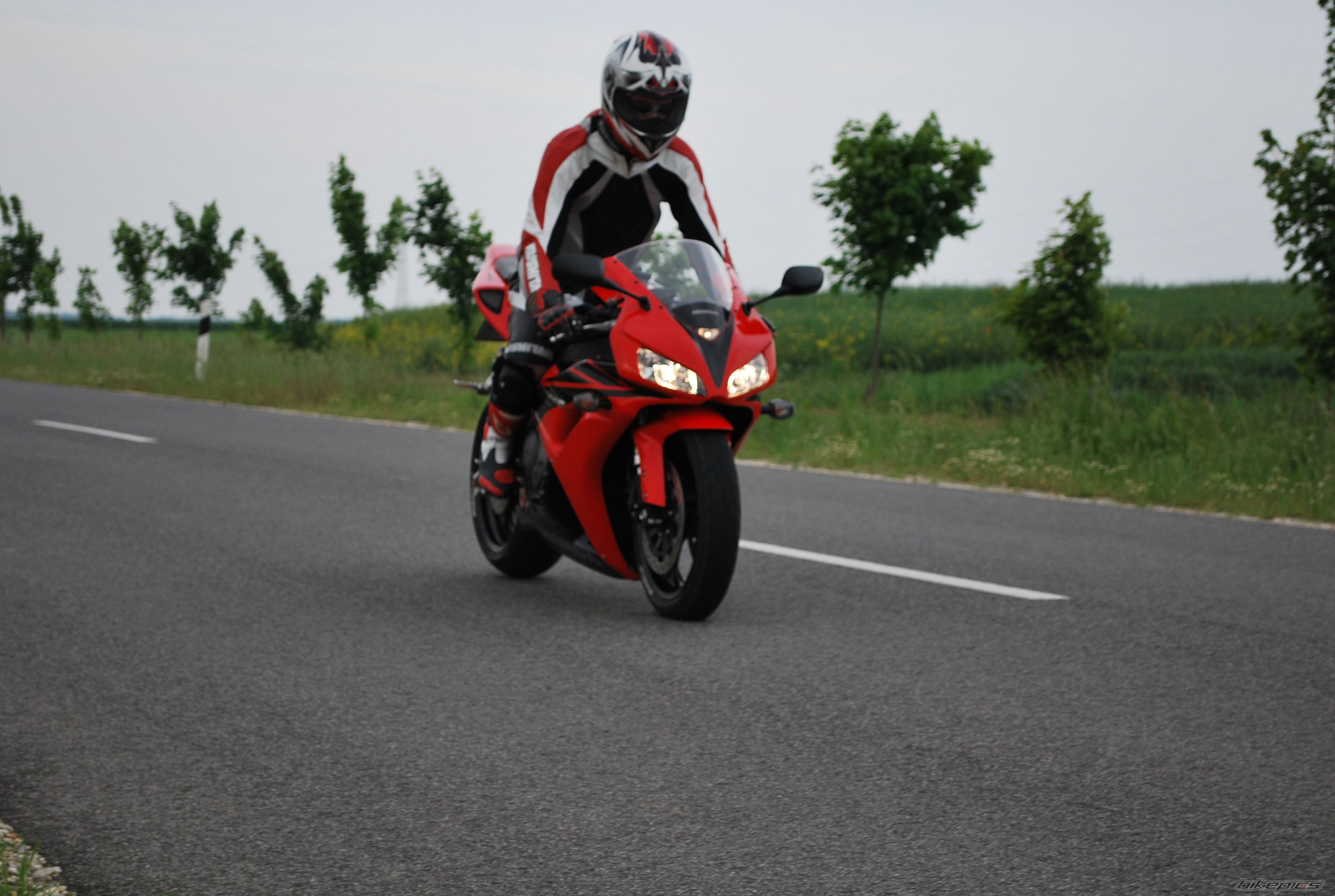 Photo 1668139