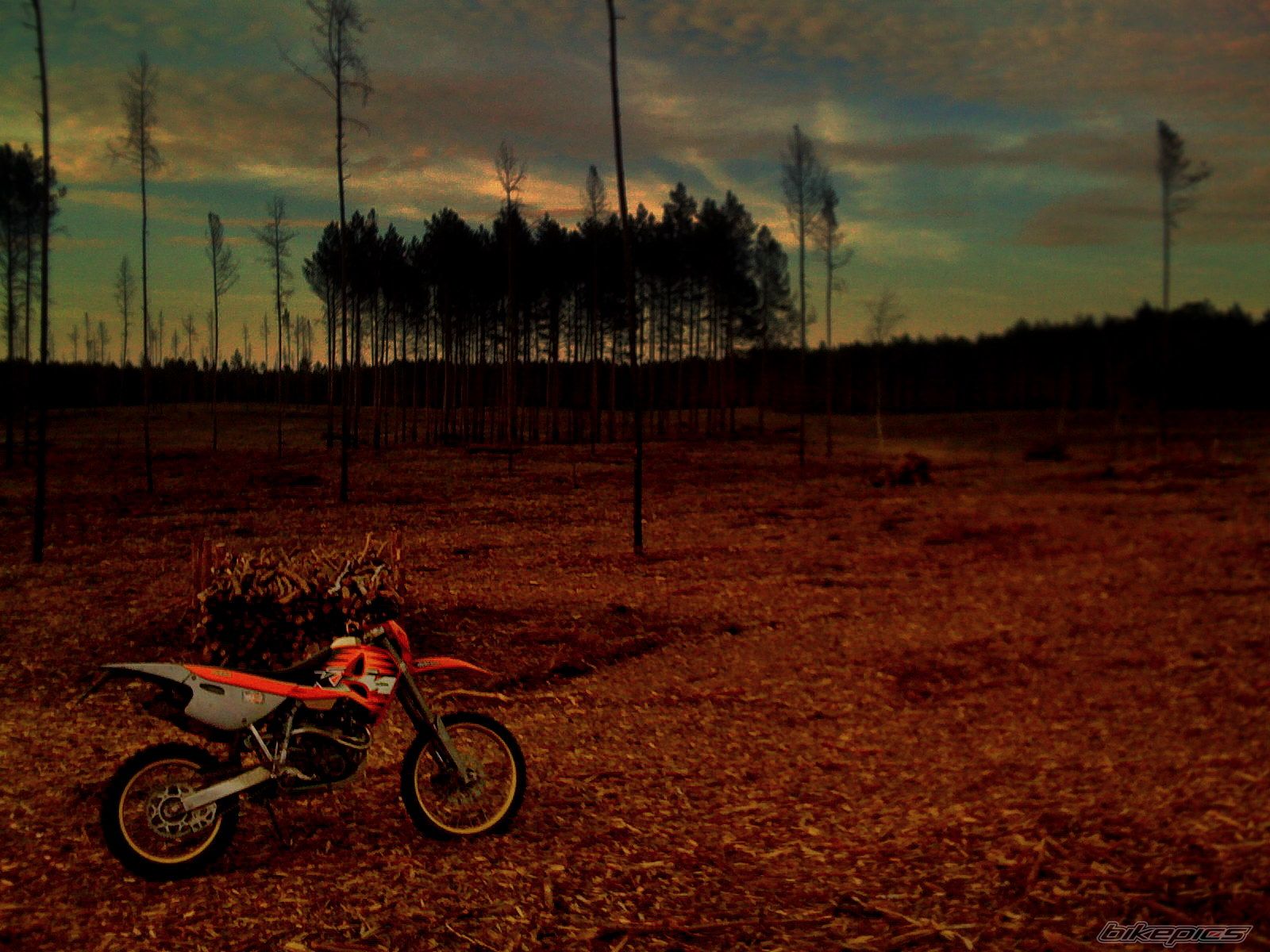 Photo 1668146
