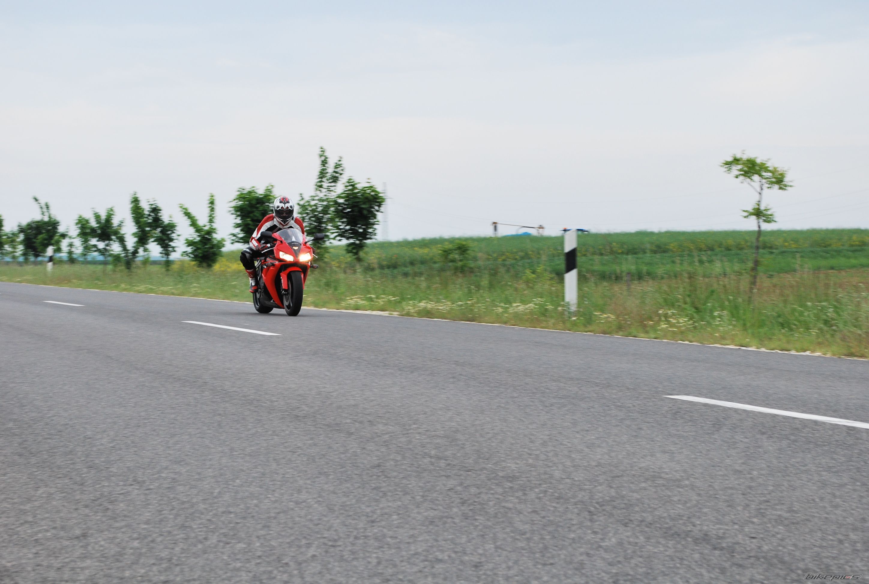 Photo 1668193
