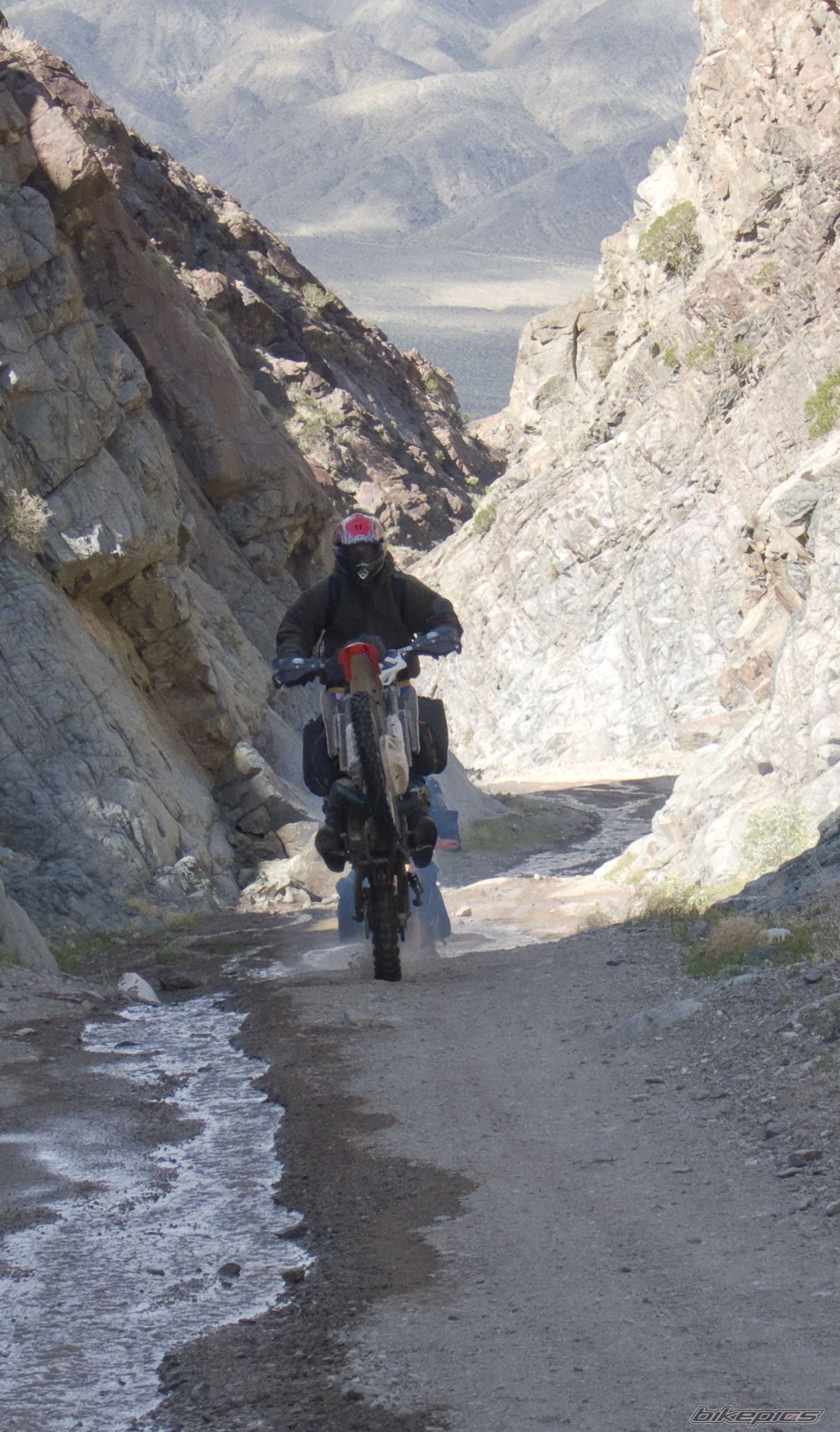Bike Photo 1668253