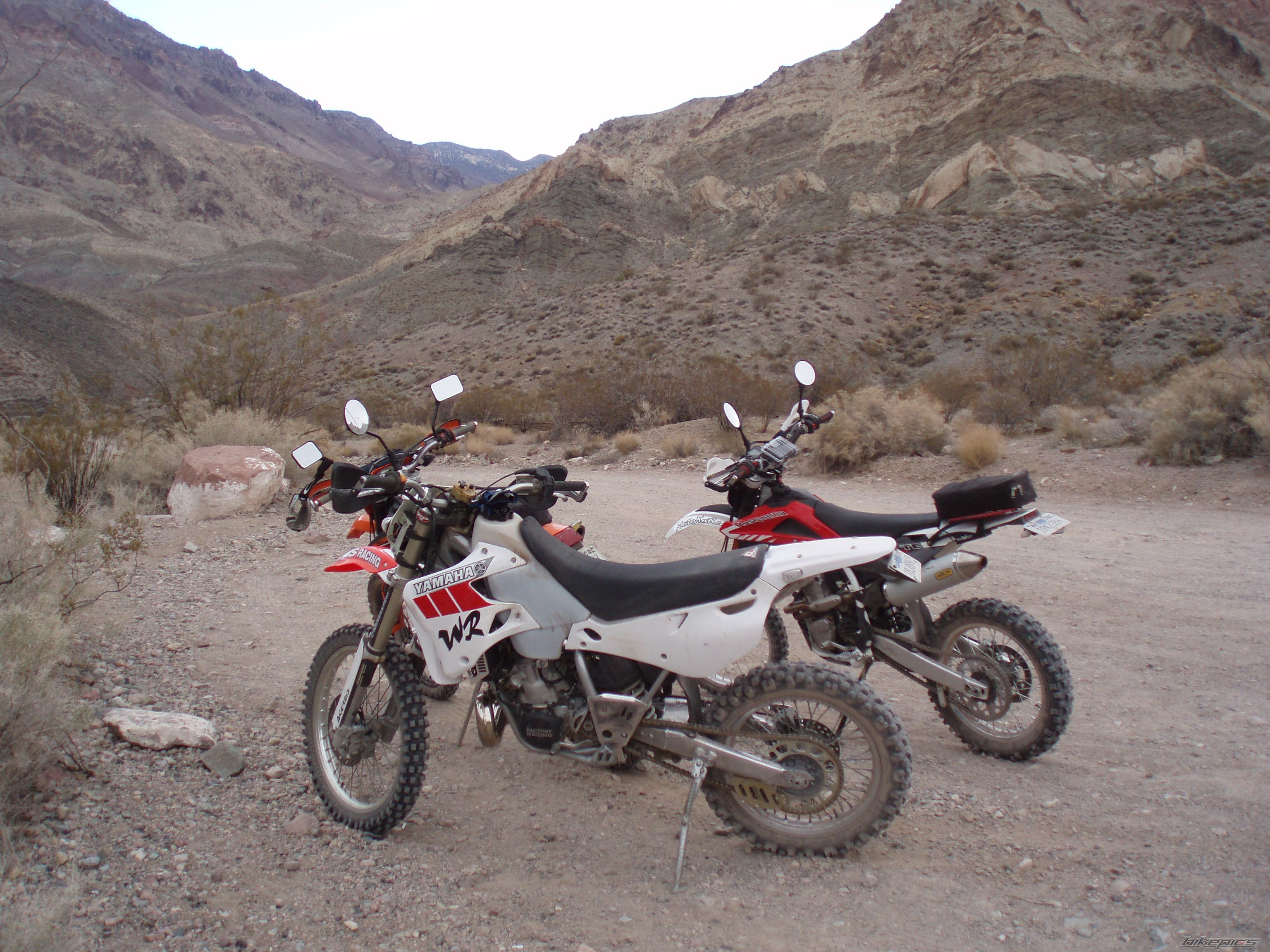 Photo 1668261