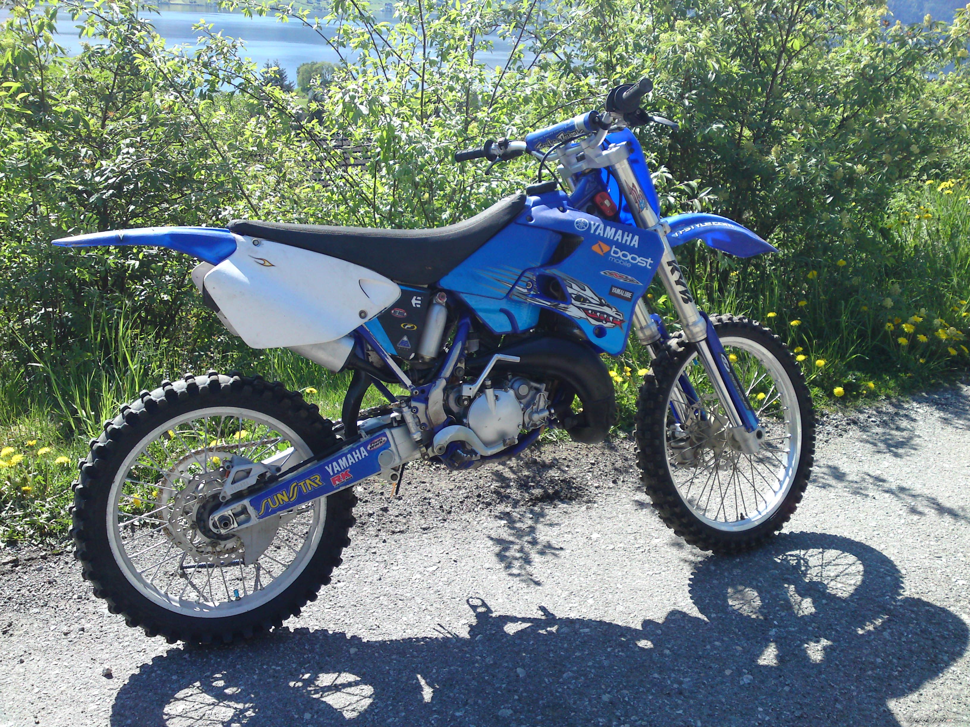 Photo 1668265