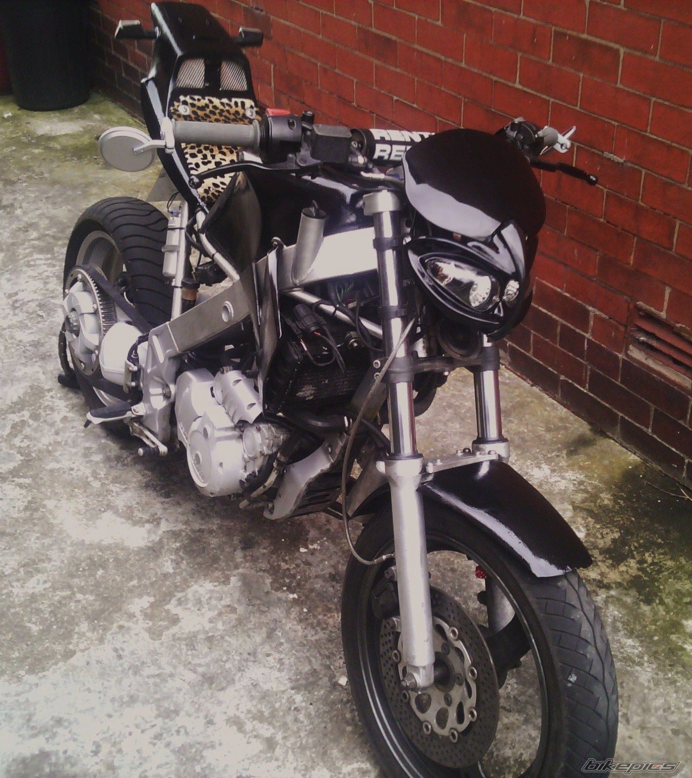 Photo 1668276