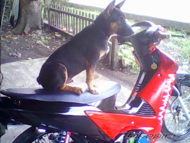 Bike Photo 1668283