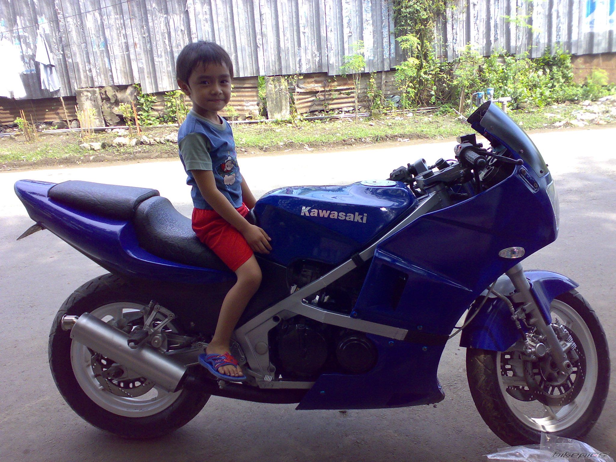 Photo 1668303