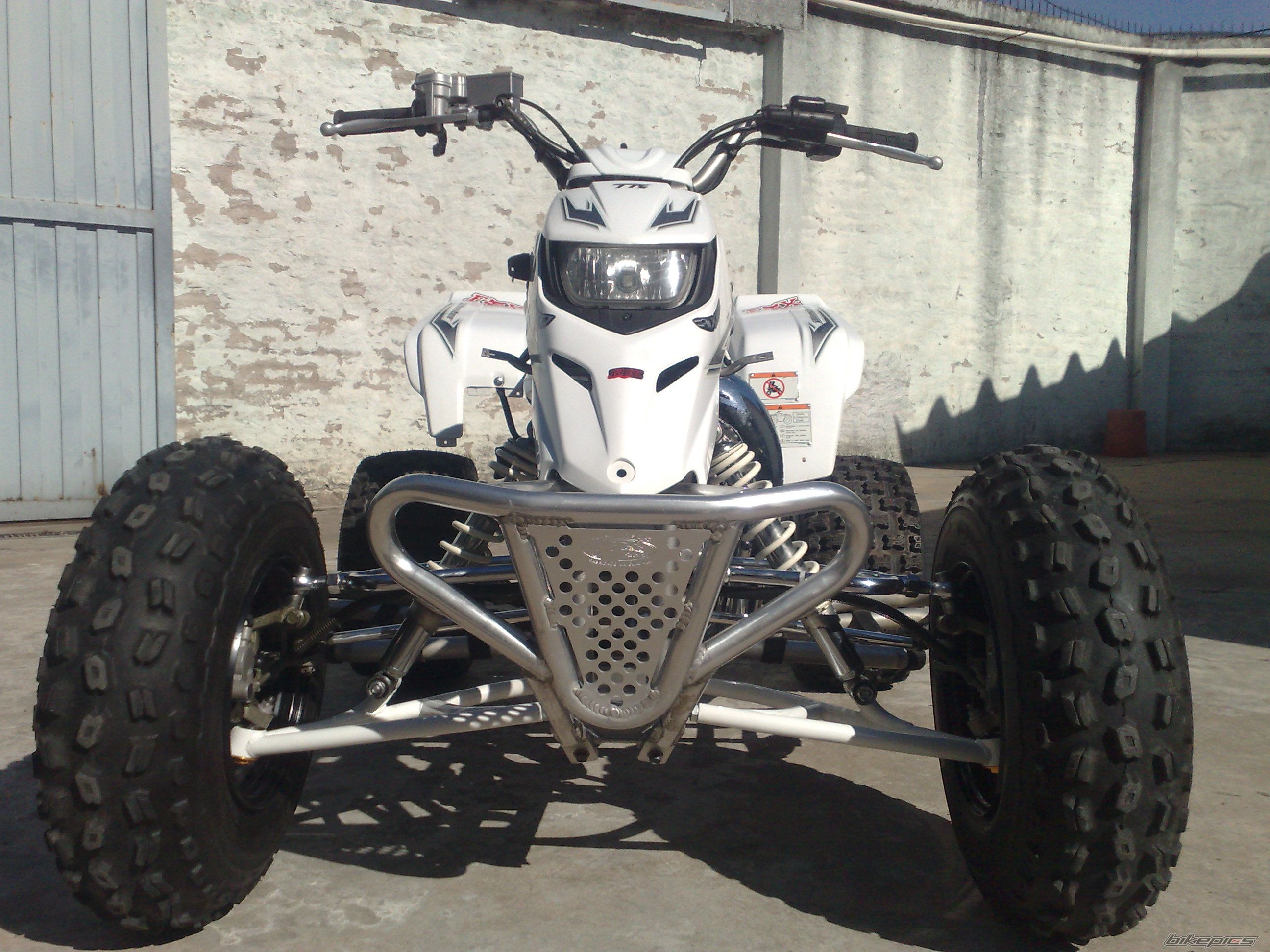 Photo 1668305