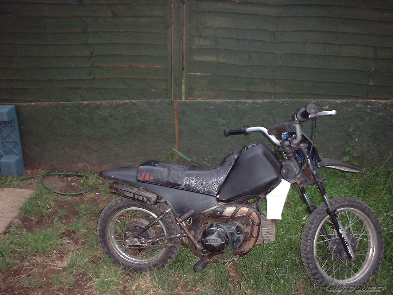 Photo 166832