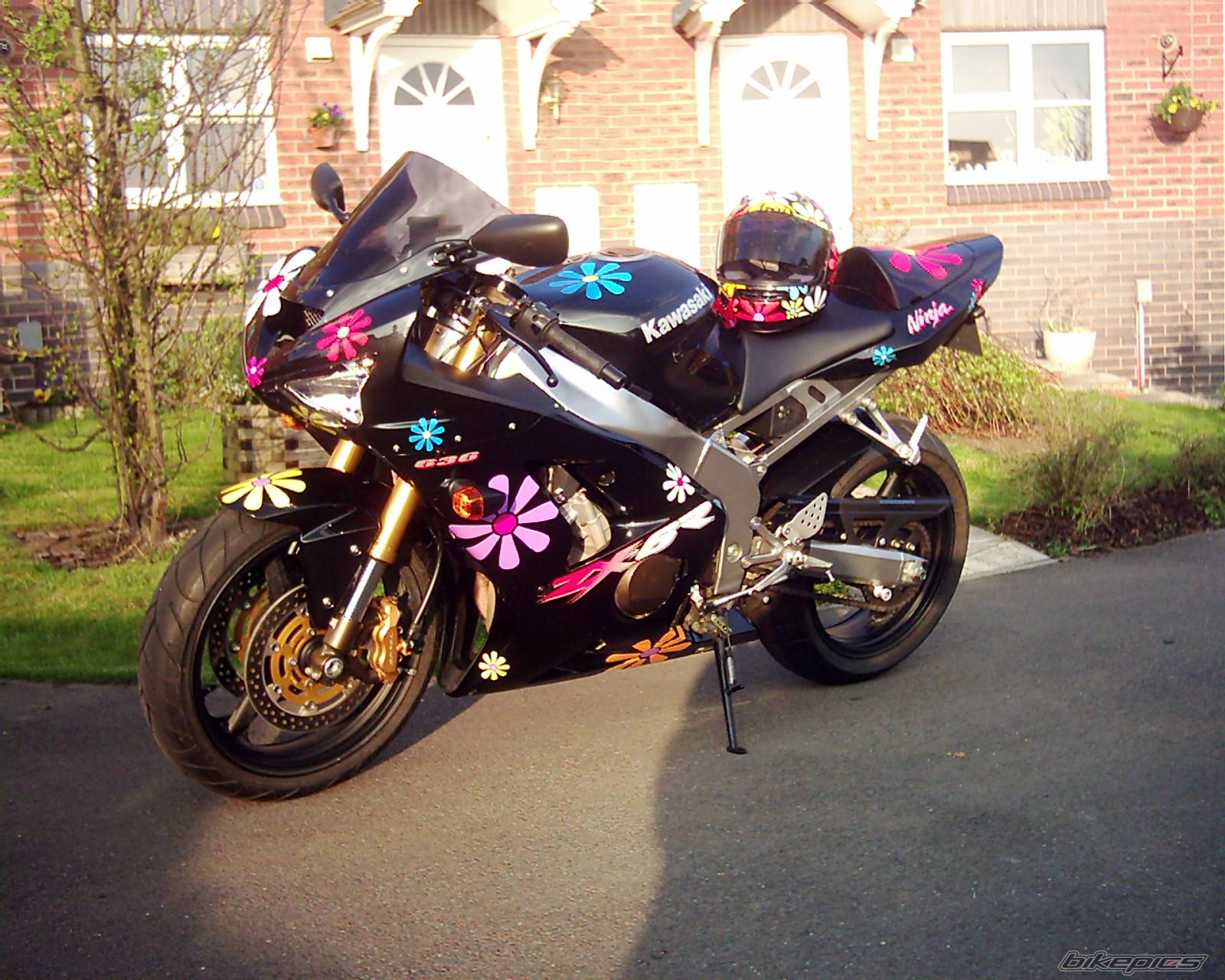 Photo 166844