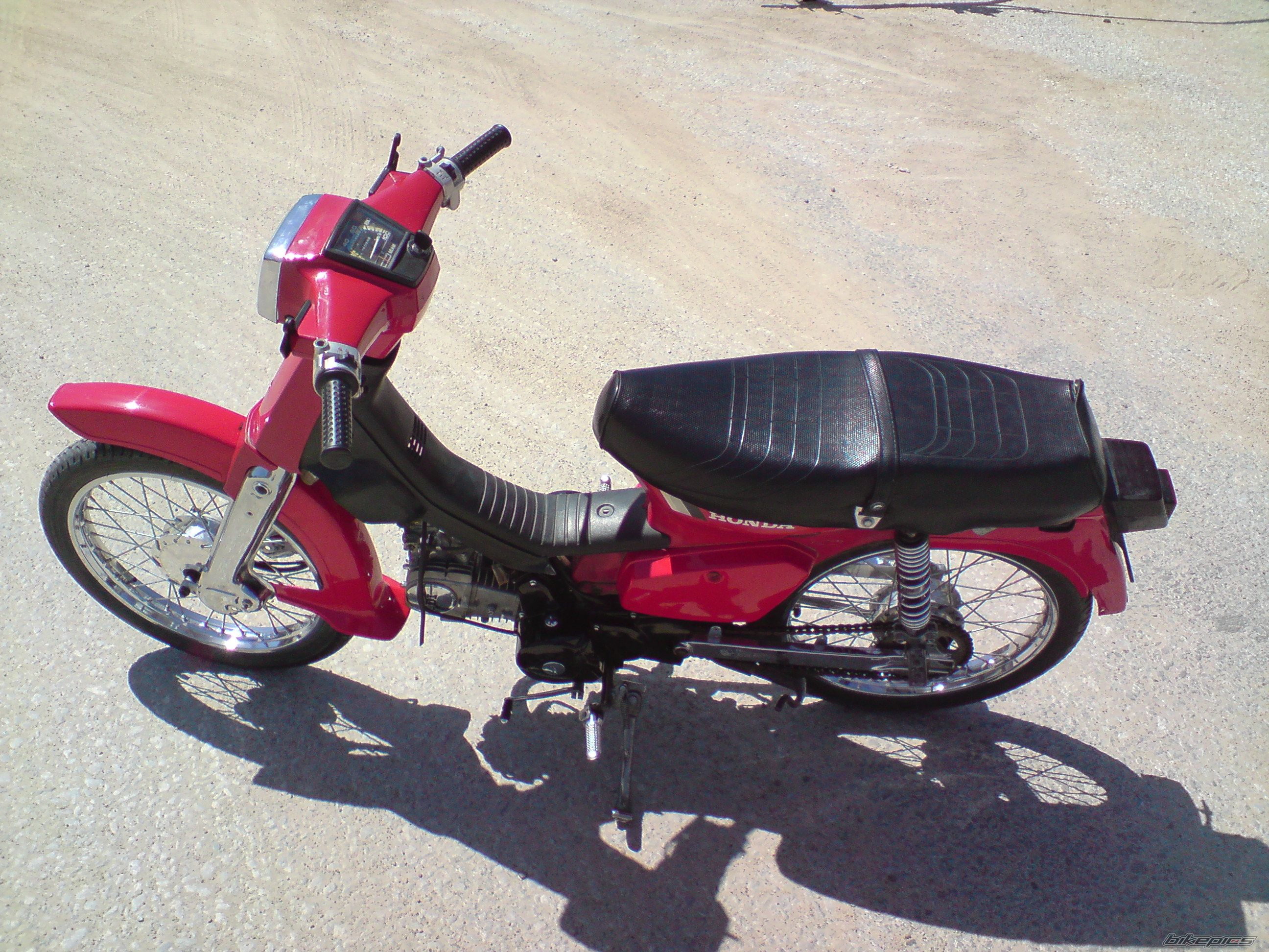 Photo 1668449