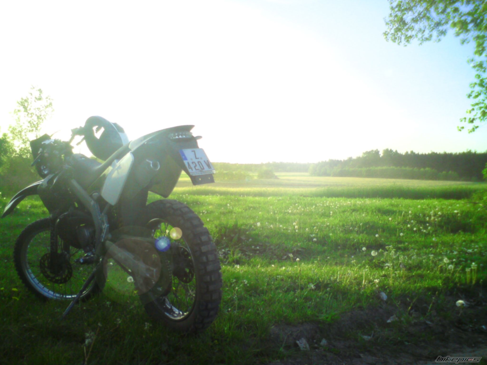 Photo 1668474