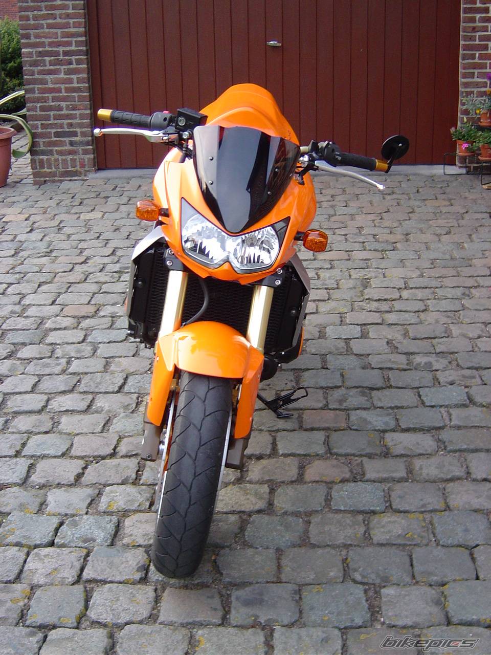 Photo 166851