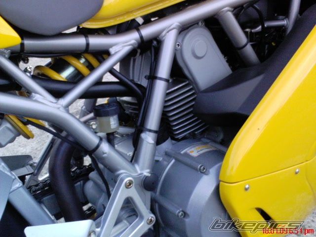 Photo 1668712