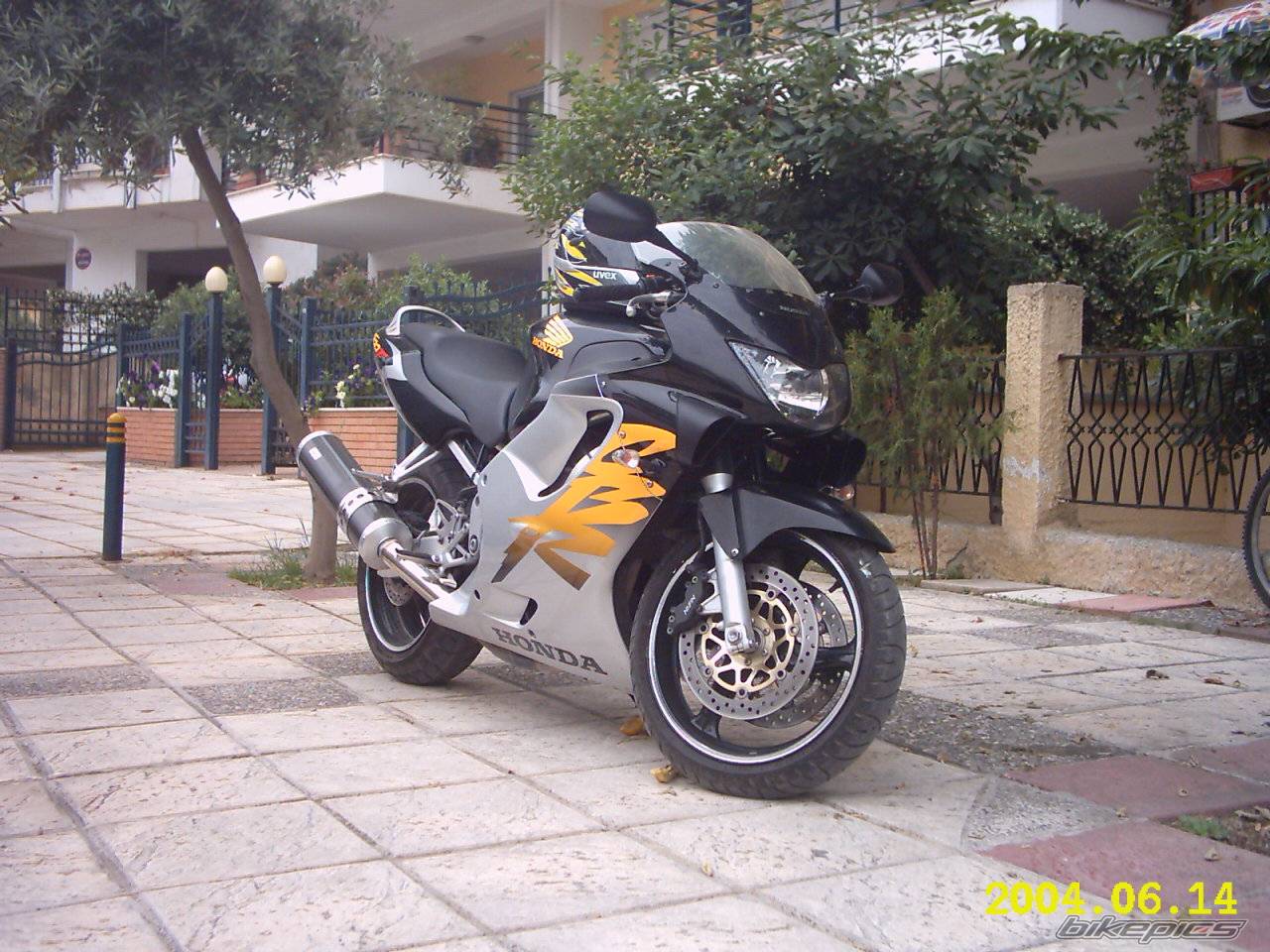 Photo 166873