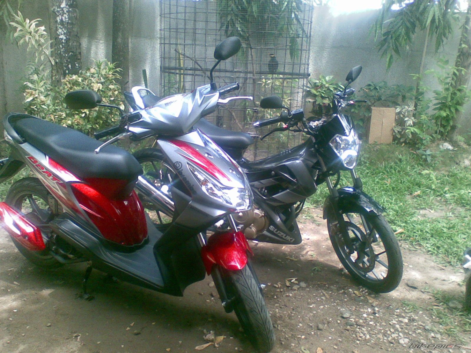 Photo 1668760
