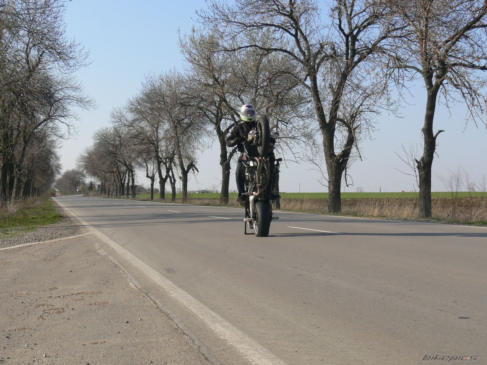 Photo 1668762