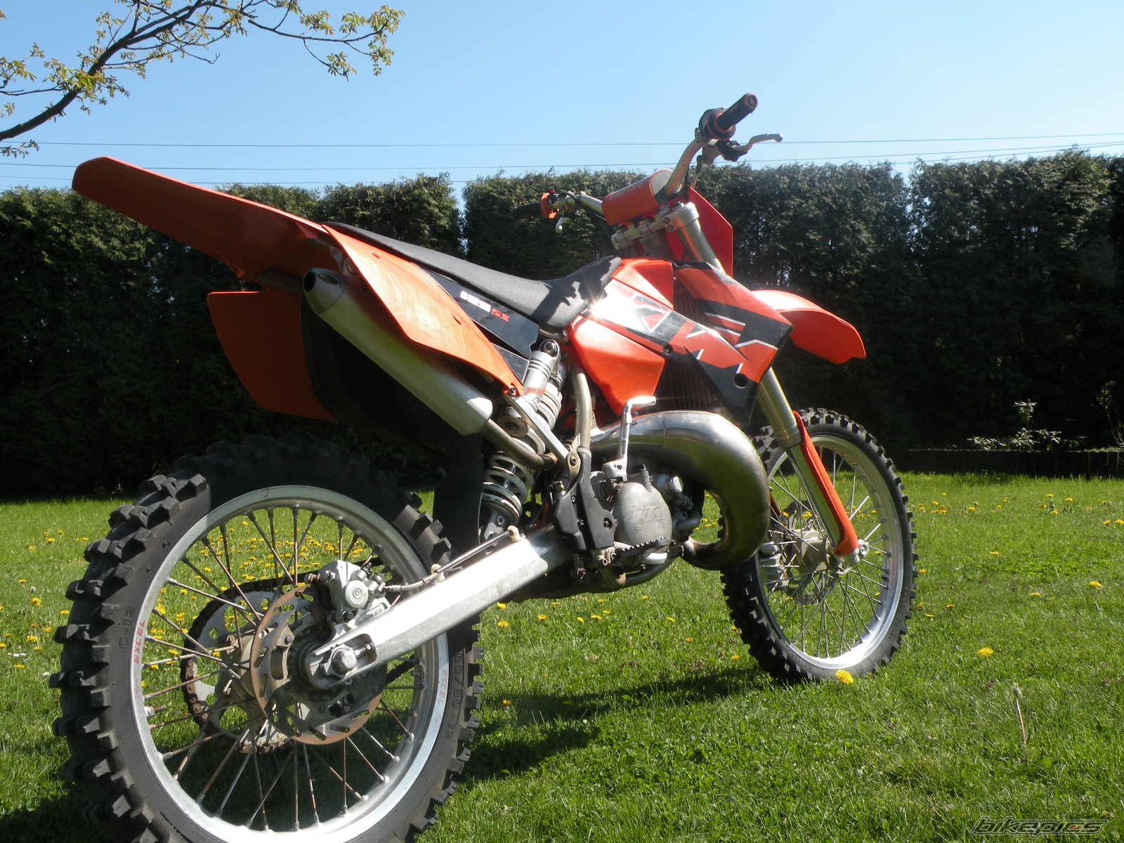 Photo 1668794