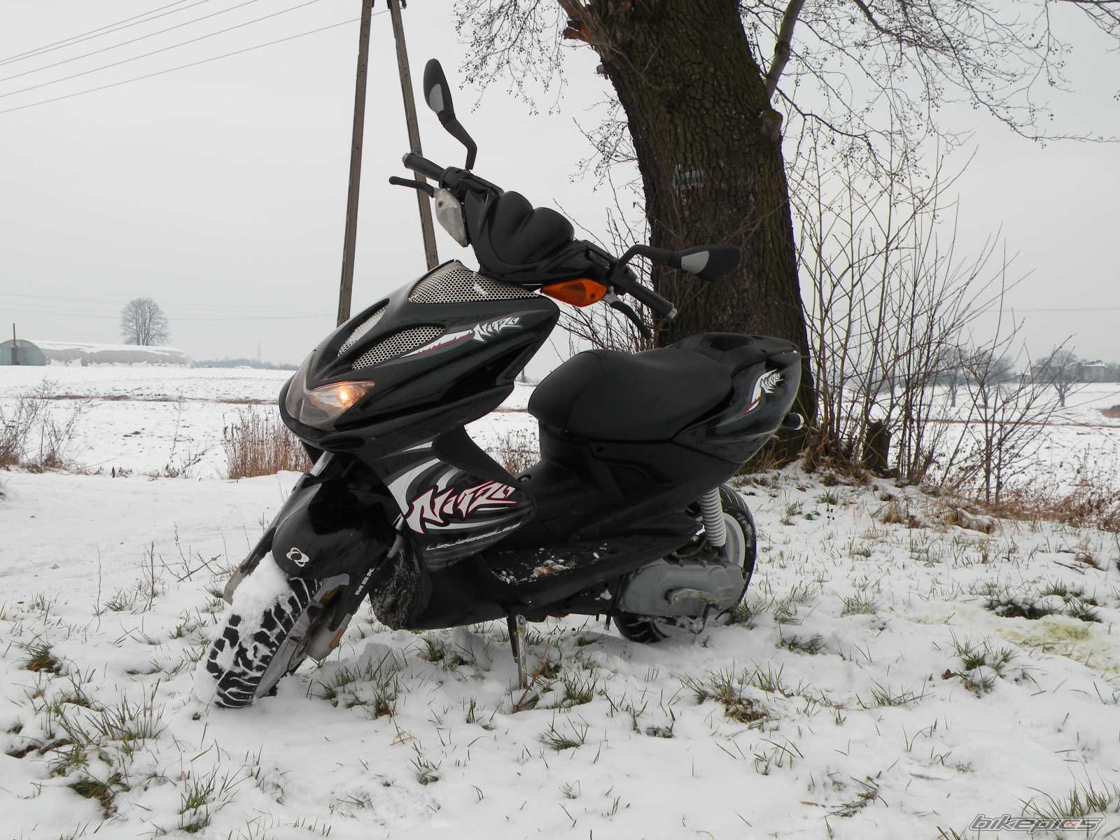 Photo 1668832