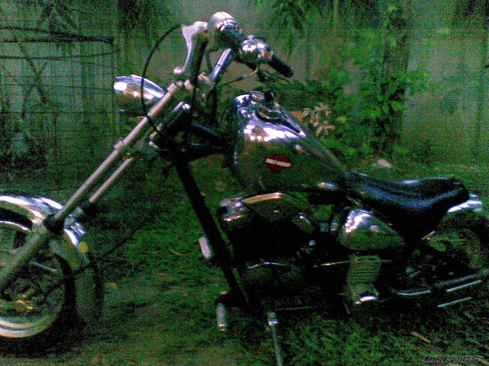 Photo 1668837