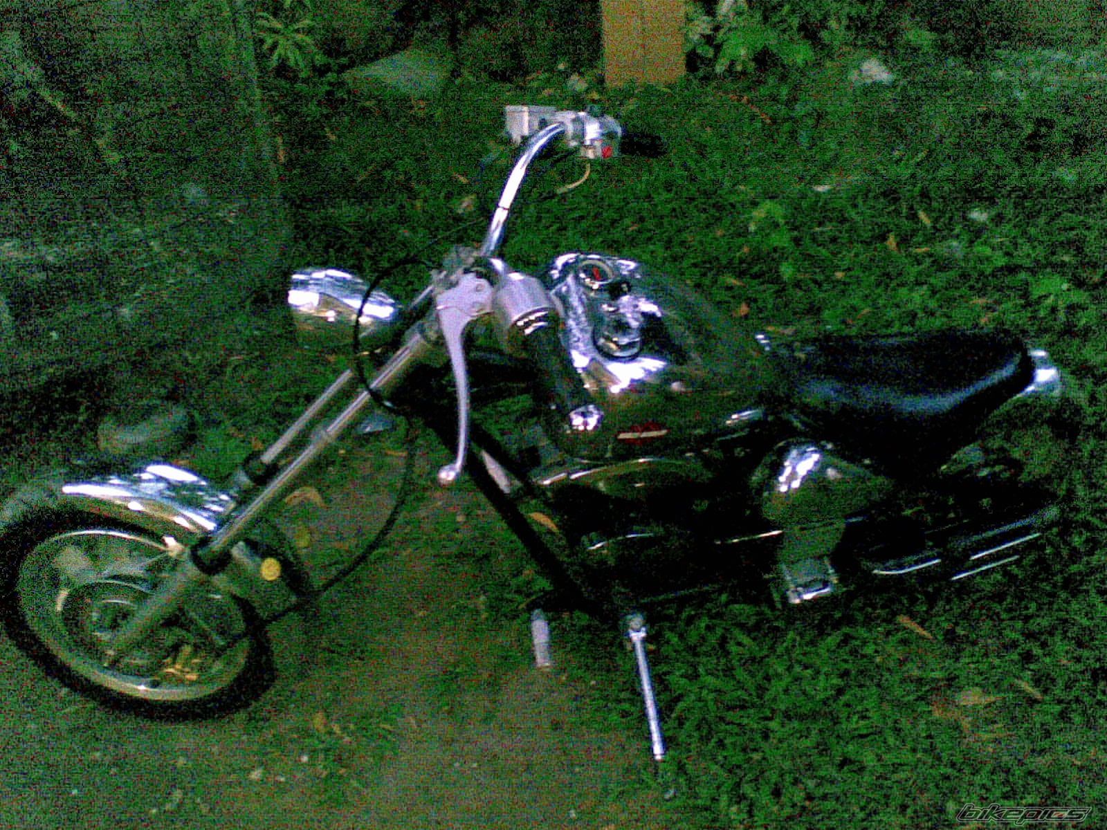 Photo 1668842