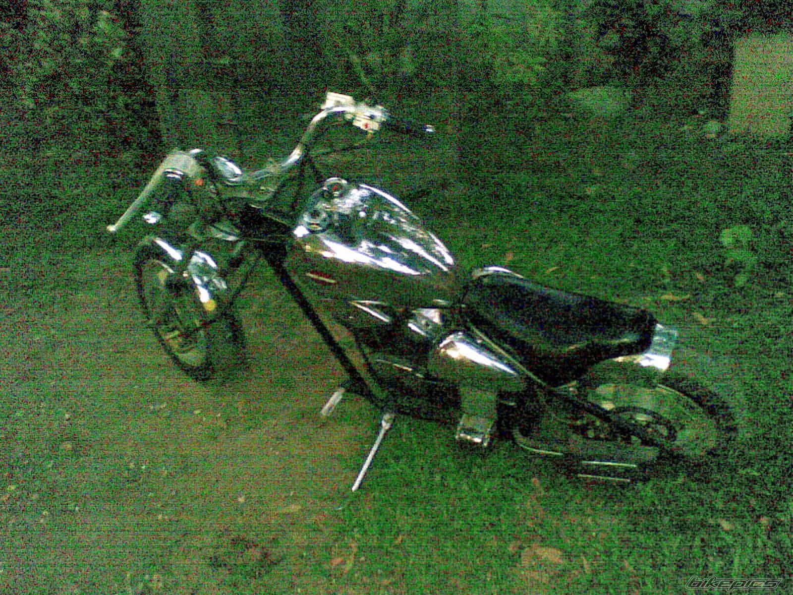 Photo 1668843