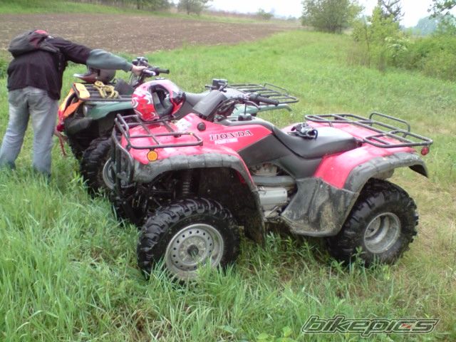 Photo 1668856