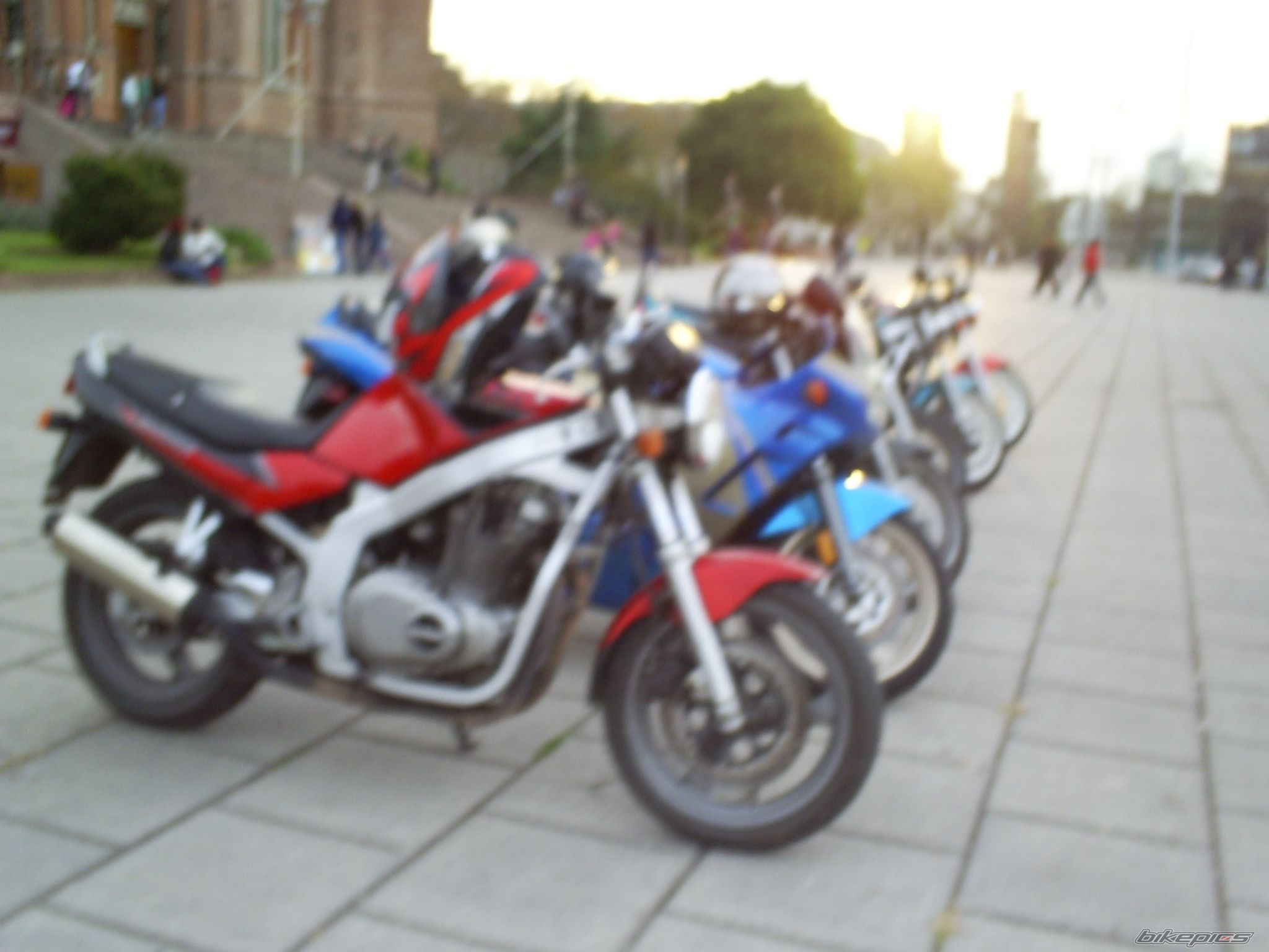 Photo 1668969