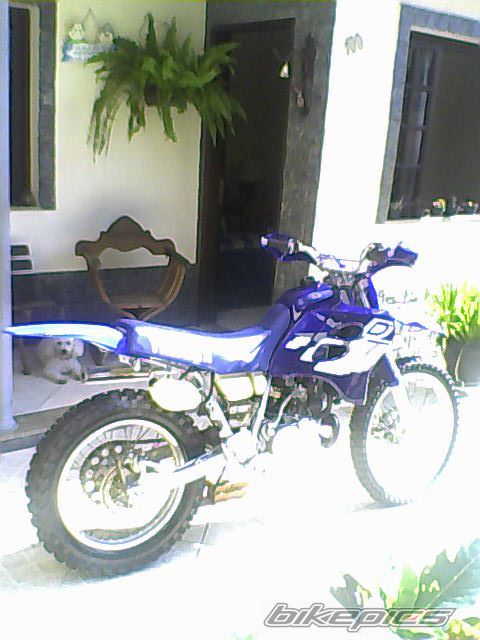 Photo 1669110