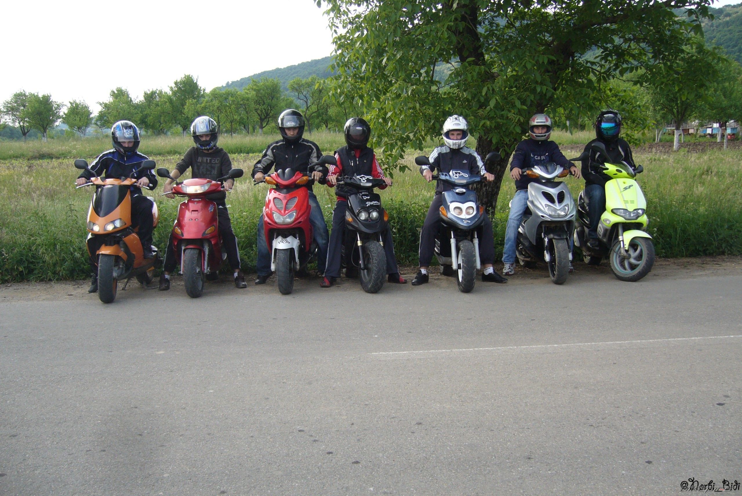 Photo 1669196