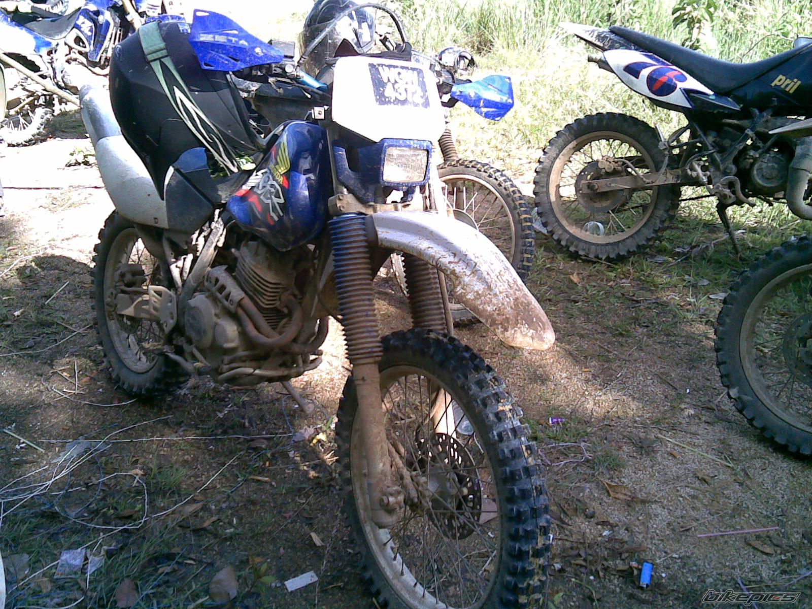 Photo 1669212