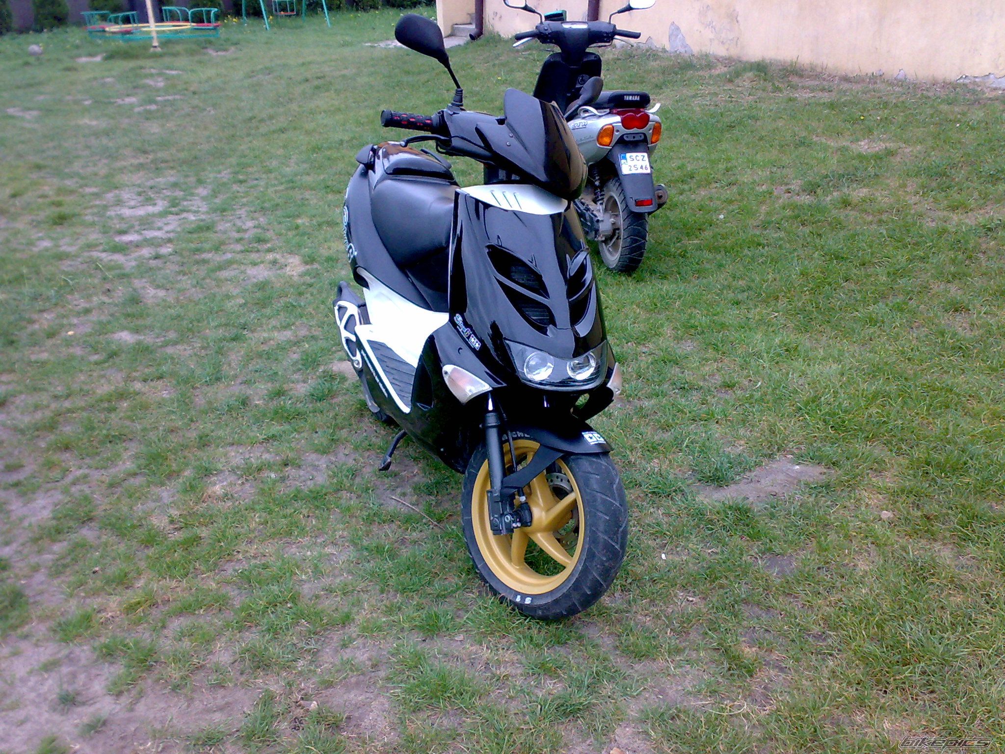 Photo 1669252