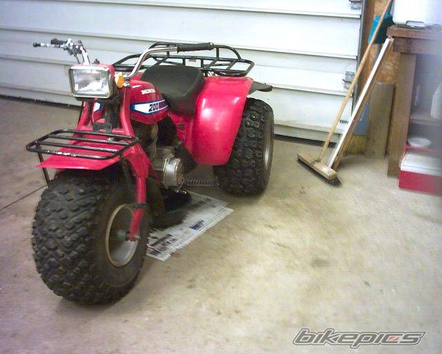 Photo 166937