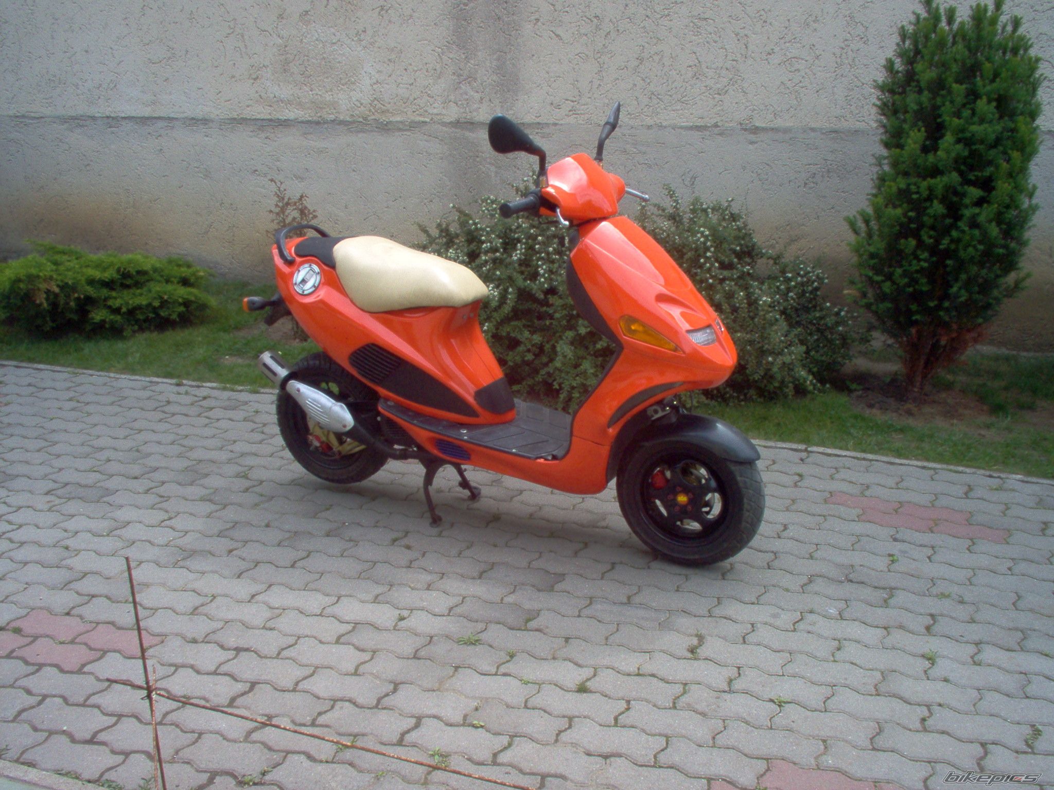 Photo 1669383