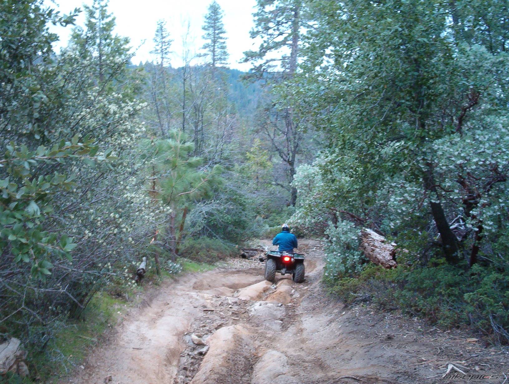Bike Photo 166942