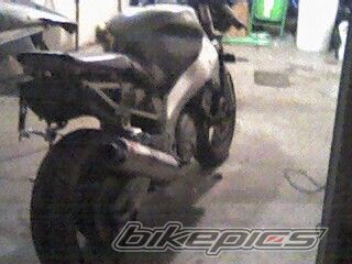 Photo 1669438