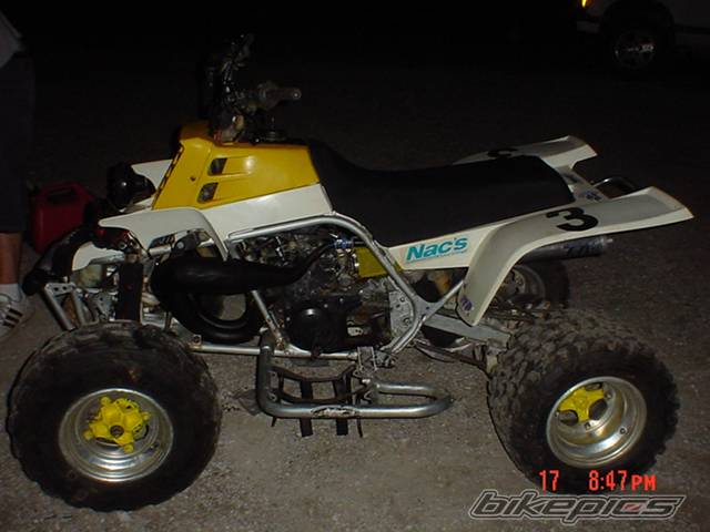 Photo 166947