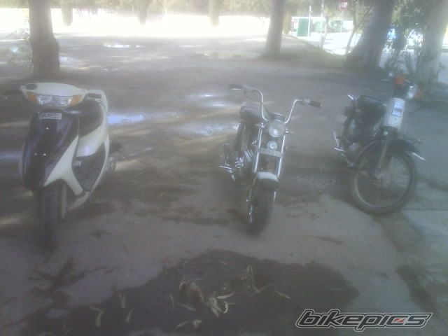 Photo 1669519