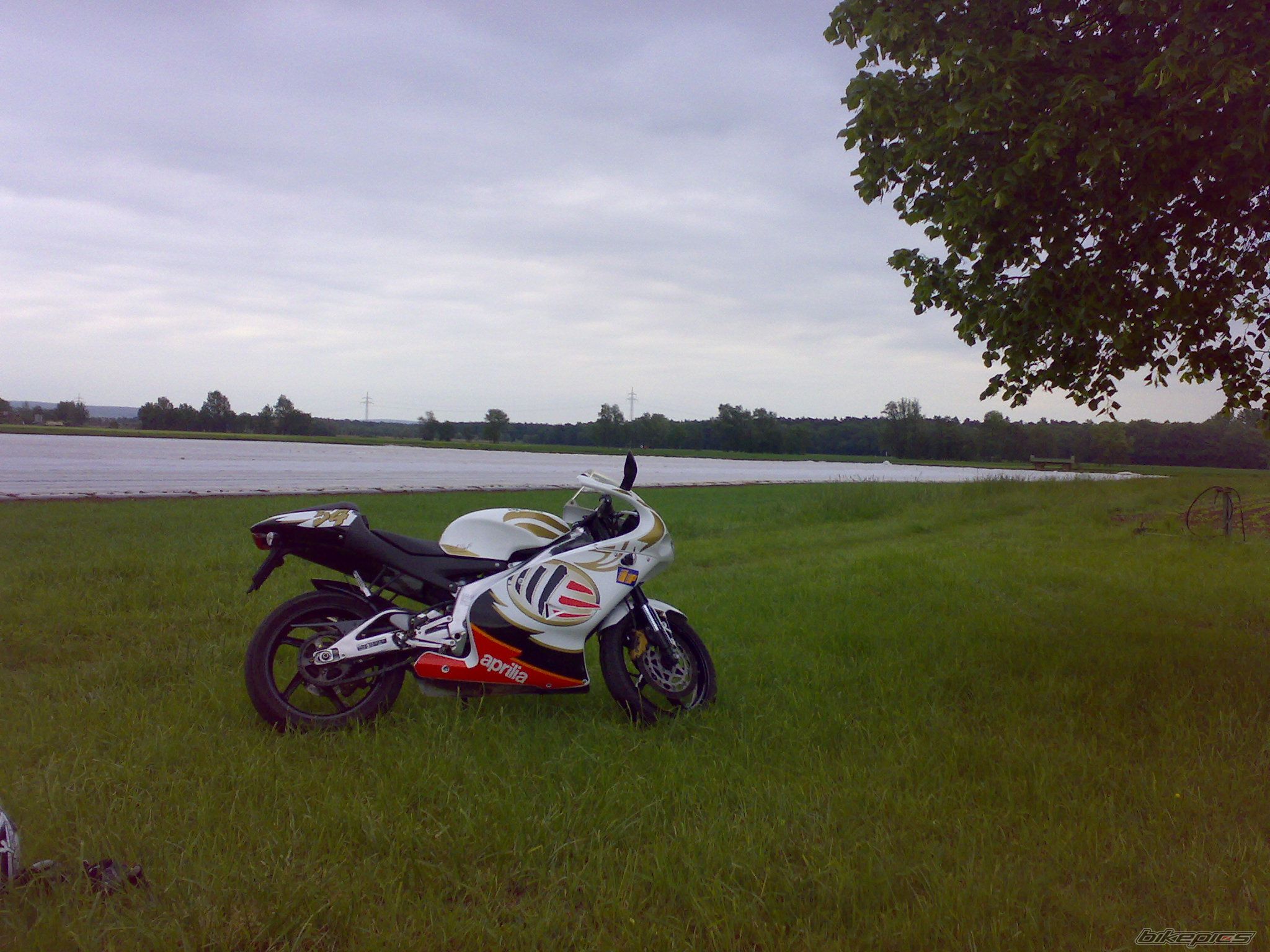 Bike Photo 1669532