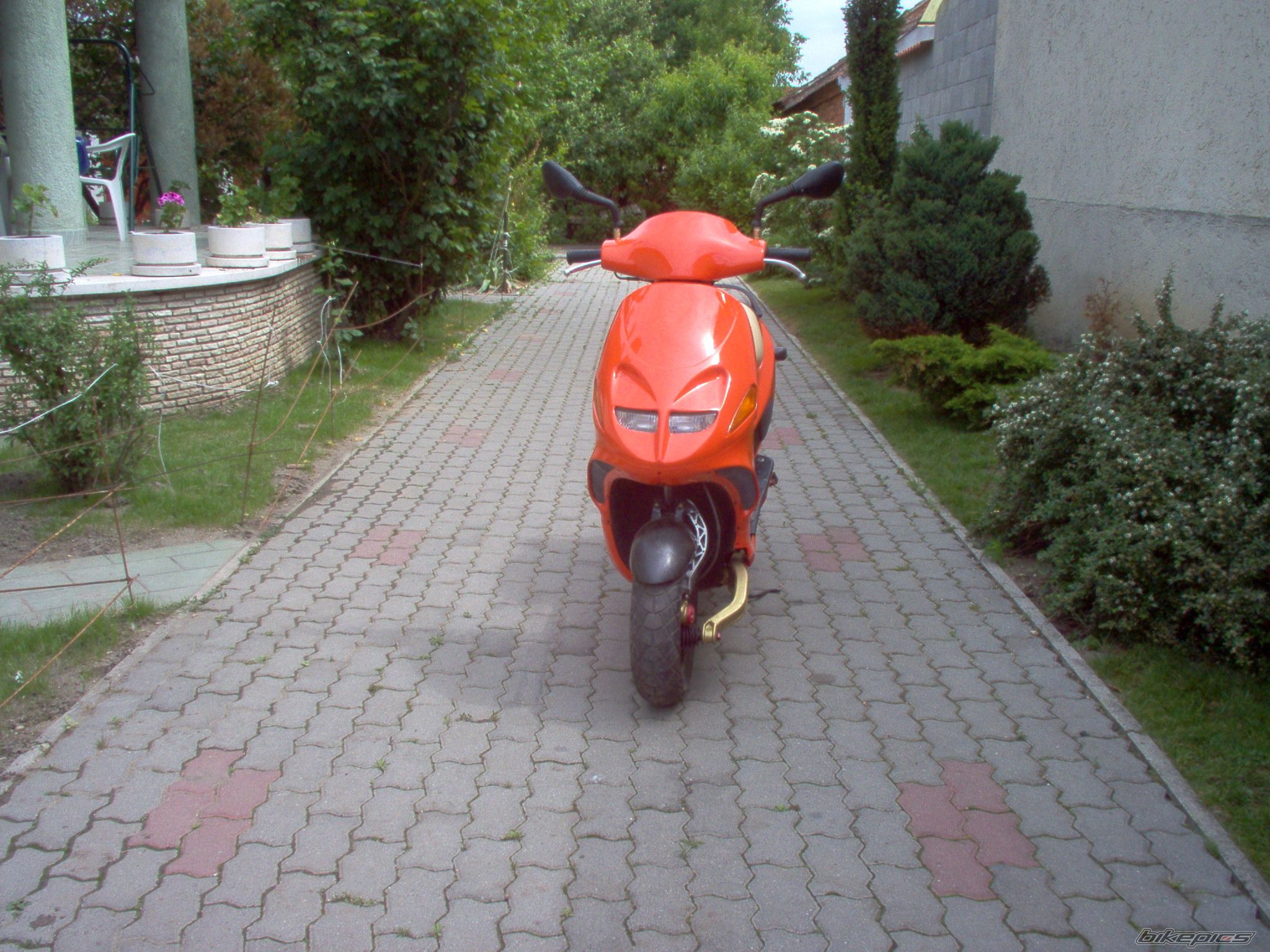 Photo 1669627