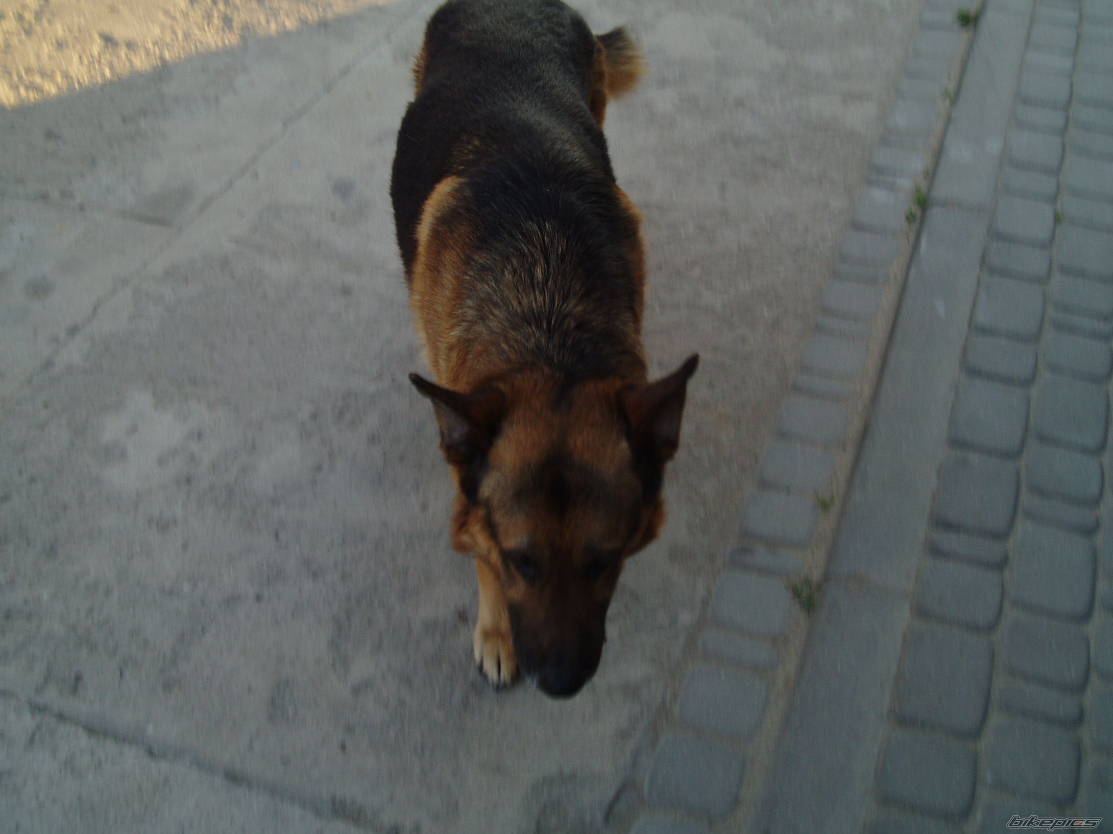 Photo 1669629
