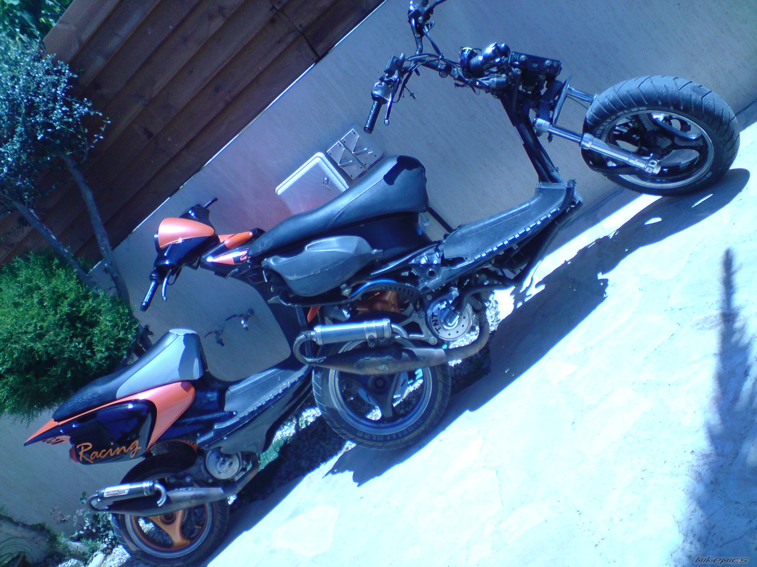 Photo 1669740