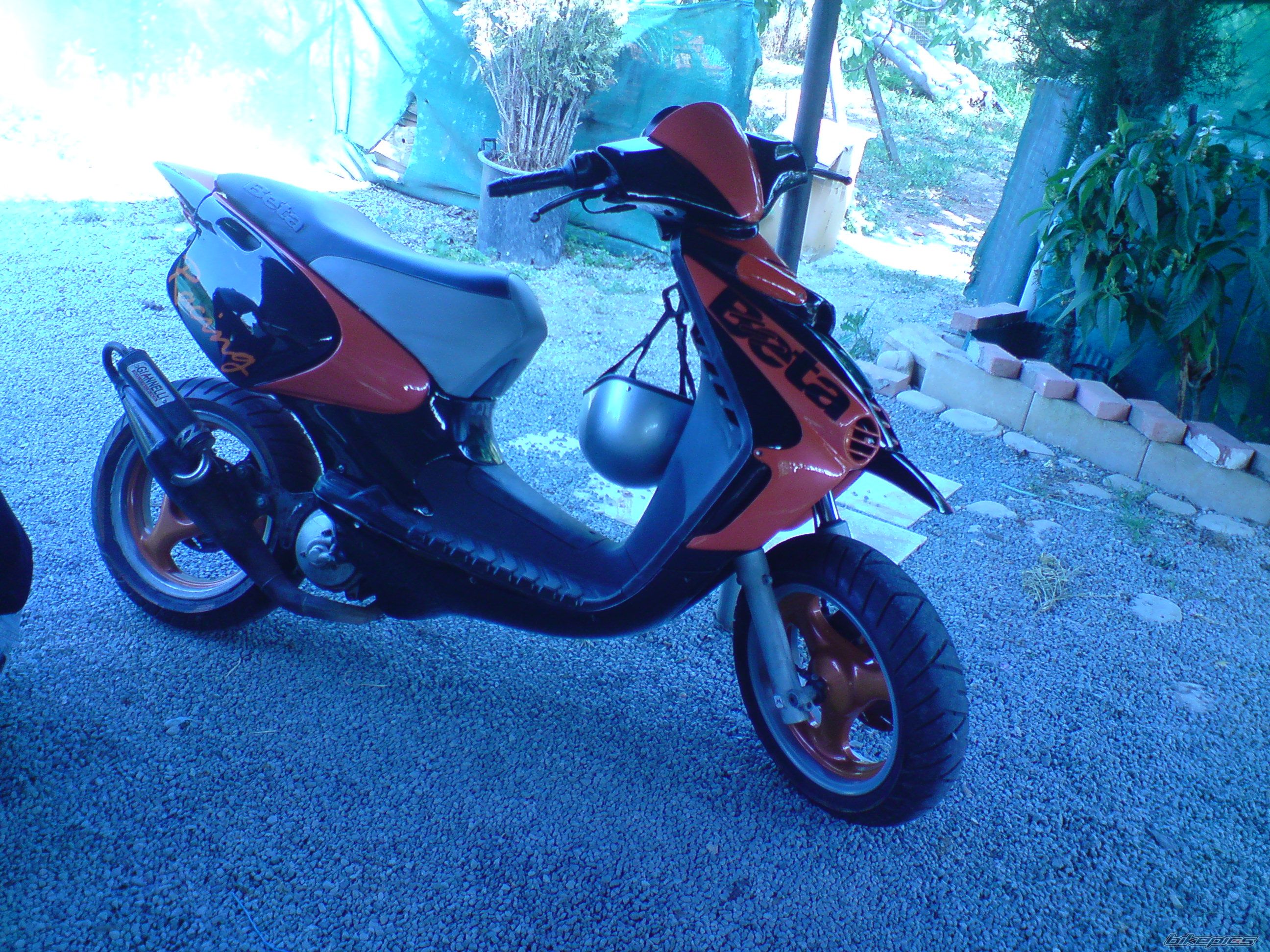 Photo 1669746