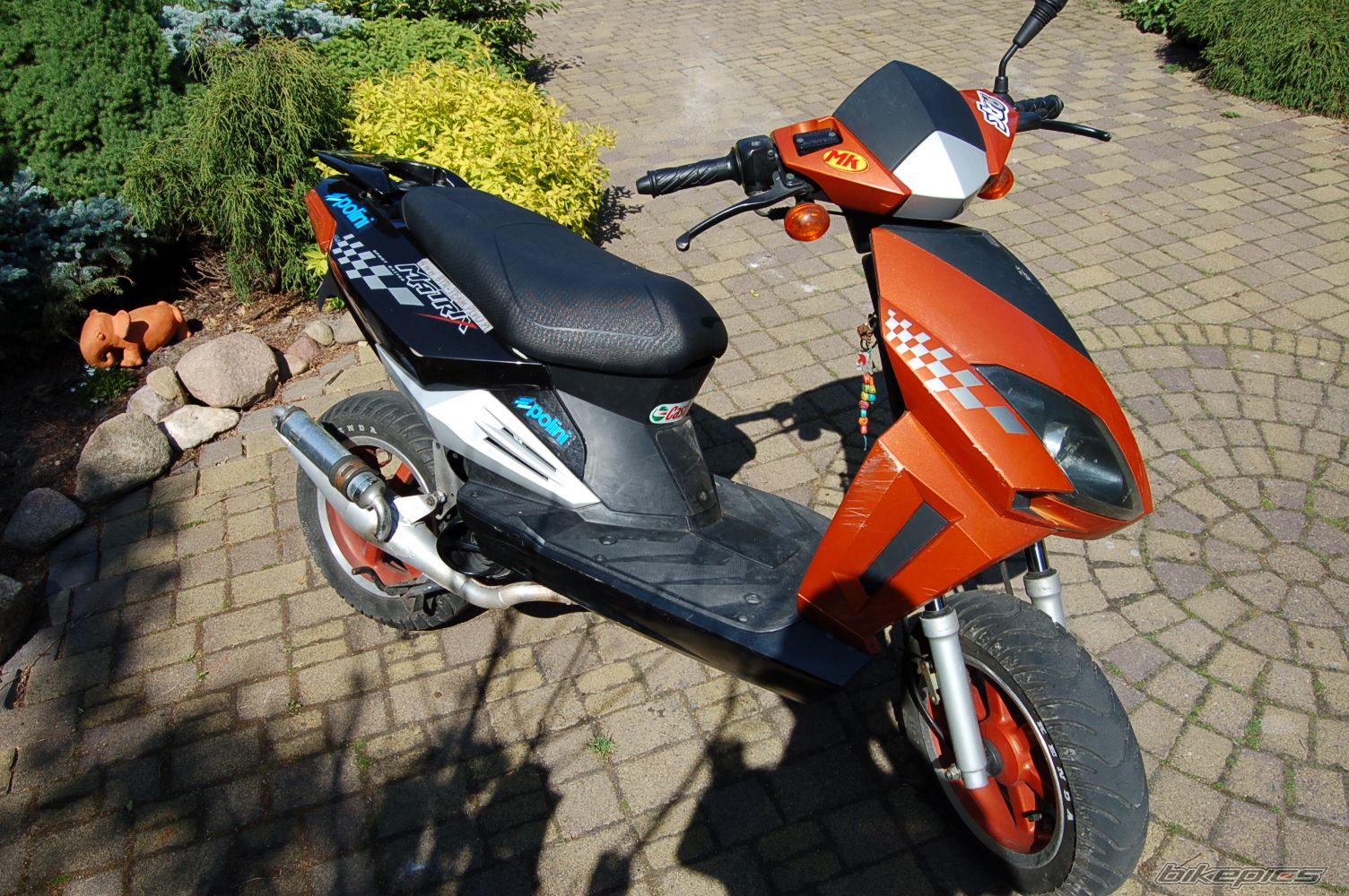 Photo 1669859