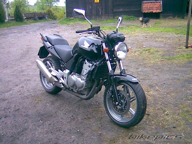 Photo 1669916