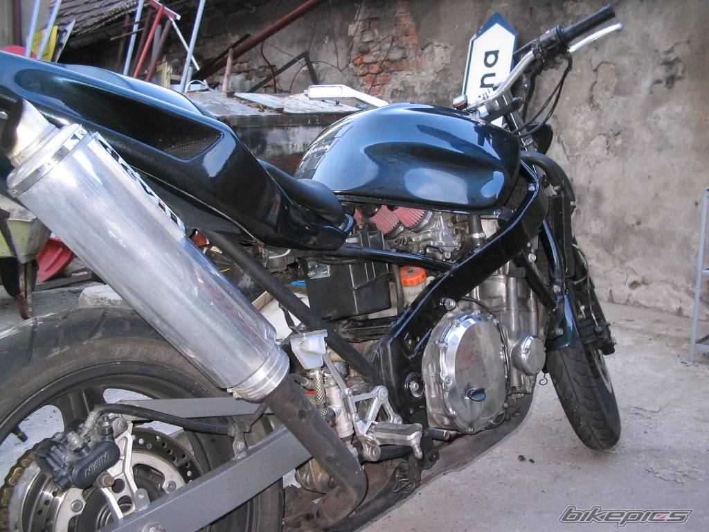 Photo 166993