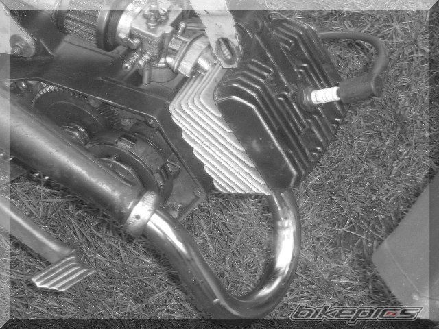Photo 1669933