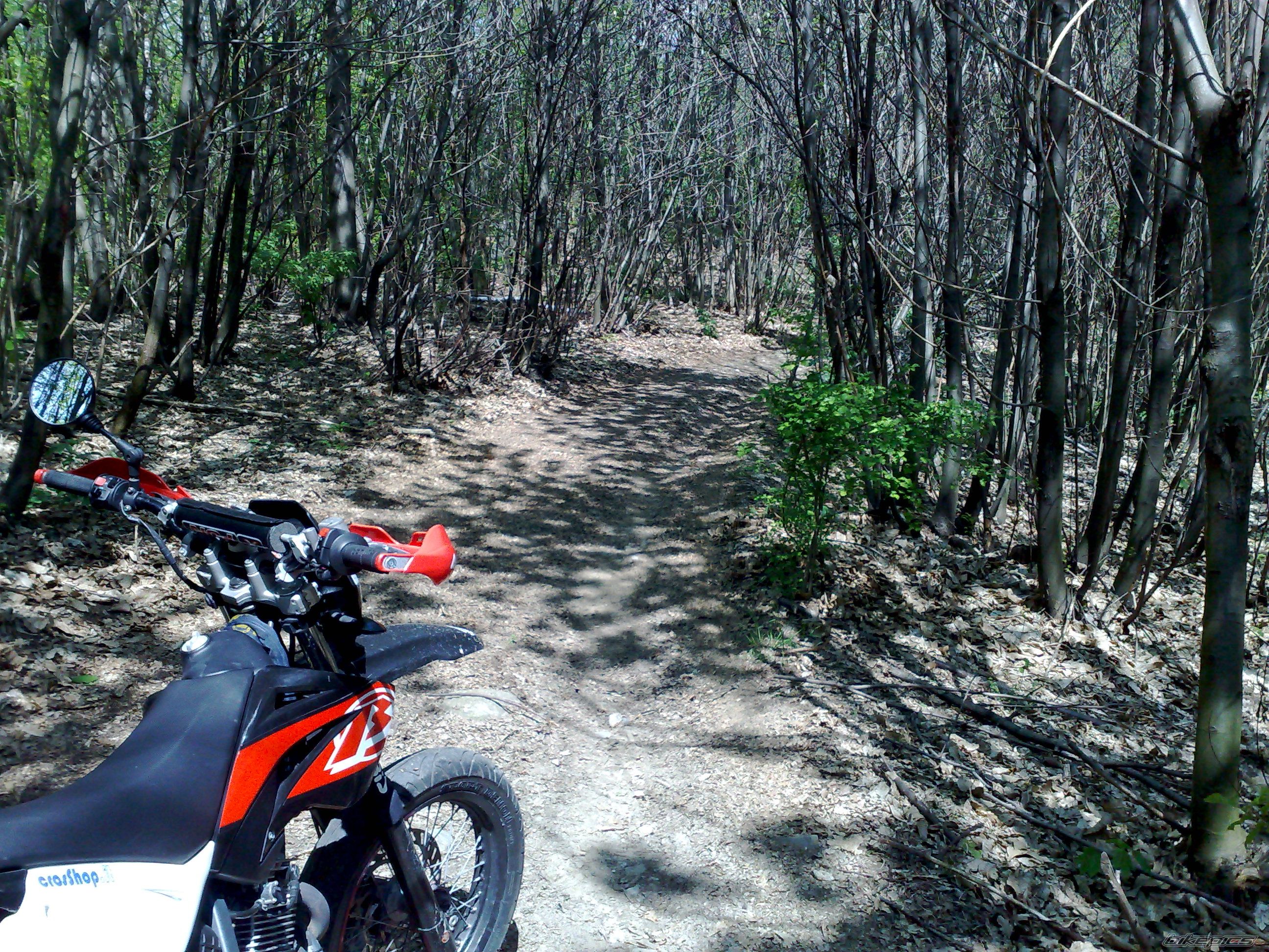 Photo 1669940