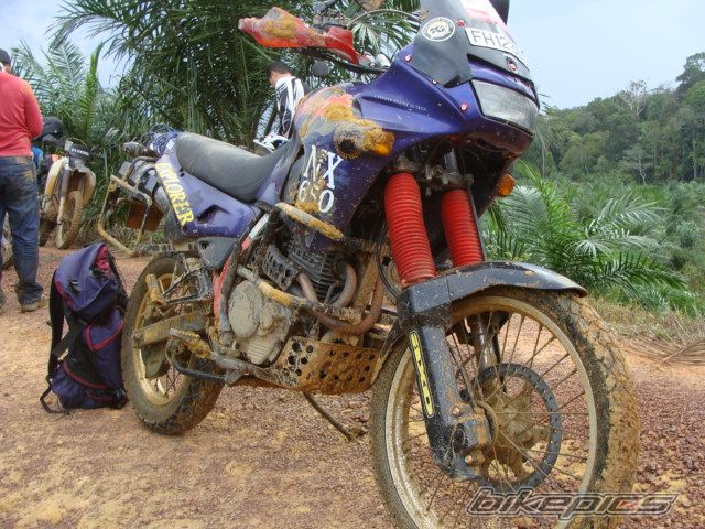 Photo 1670149